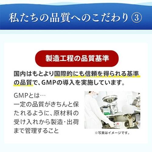 【海藻専科フコイダンブイ180 カプセル】 元気 フコイダンエキス サプリメント サプリ もずく 栄養 フコイダン ビタミン ミネラル 美容 健康｜ventuno-ystore｜13