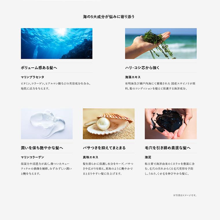 トリートメント サロン専売 美容院 女性用 ノンシリコン 無添加 エフウィズリッチステージ トリートメント2本セット フコイダン配合 -まとめ買い10%OFF-の画像