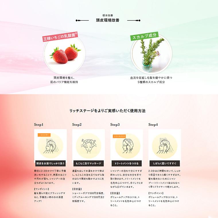 トリートメント サロン専売 美容院 女性用 ノンシリコン 無添加 エフウィズリッチステージ トリートメント2本セット フコイダン配合 -まとめ買い10%OFF-の画像