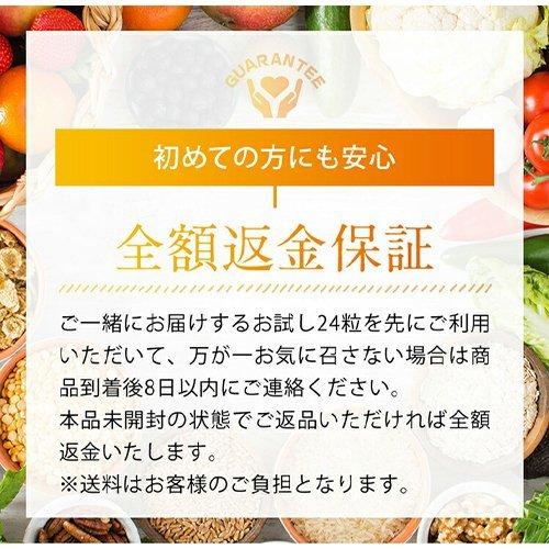 快朝エンザイム加えること酵母菌DX124粒 3袋仕かける エンザイム 酵母菌 食事制限 加えること サプリ 乳酸菌 ヴィタミン 食料雑貨類衣料繊維 亭主持ち 美容 砿物