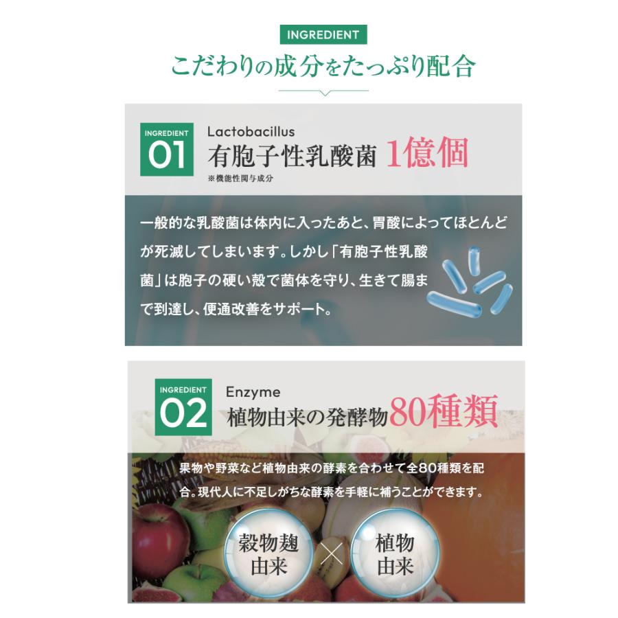 快朝ハーブ乳酸菌 124粒 乳酸菌 サプリメント 有胞子乳酸菌 便秘 気味