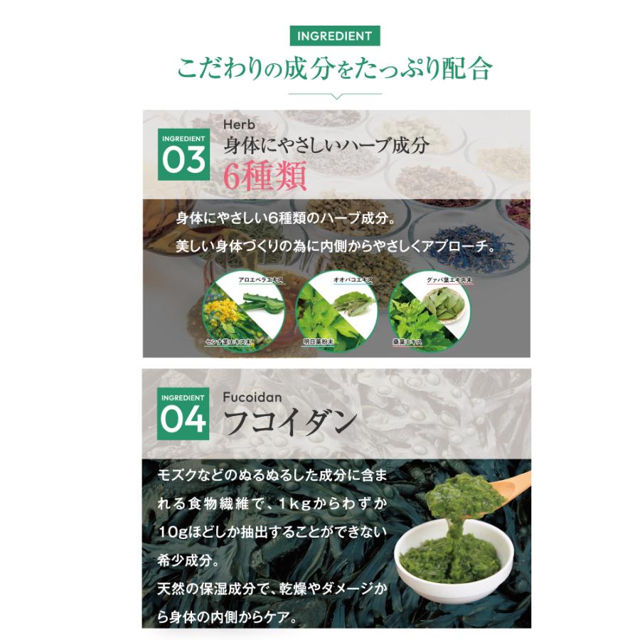 快朝ハーブ乳酸菌 24粒 乳酸菌 サプリメント 有胞子乳酸菌 便秘 気味の