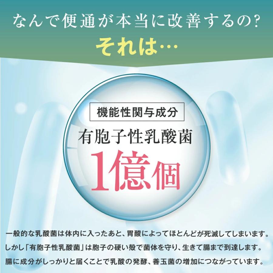 快朝ハーブ乳酸菌 248粒 乳酸菌 サプリメント 有胞子乳酸菌 便秘 気味