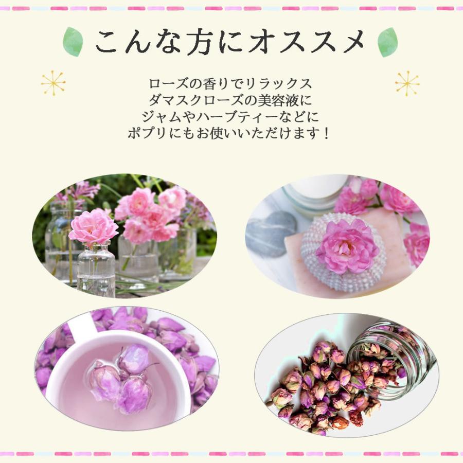 ヴィーナース（Venurse） ダマスクローズ バッズ 10g 送料無料 農薬