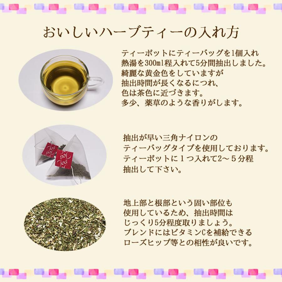 エキナセアティー 60 ティーバッグ 送料無料 農薬検査済 ノンカフェイン エキナケア ムラサキバレンギク ハーブ ハーブティー ティー ティーパック Echina60p ヴィーナース ハーブティー専門店 通販 Yahoo ショッピング