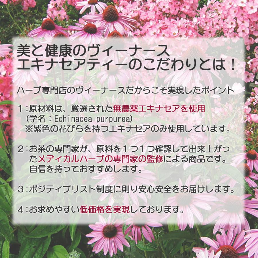 ヴィーナース（Venurse） エキナセアティー 60p 送料無料 農薬検査済