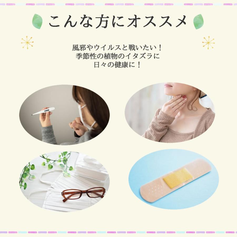 ビッグ割引 エキナセアティー 60 ティーバッグ 送料無料 農薬検査済 ノンカフェイン エキナケア ムラサキバレンギク ハーブ ハーブティー ティー ティーパック Wantannas Go Id