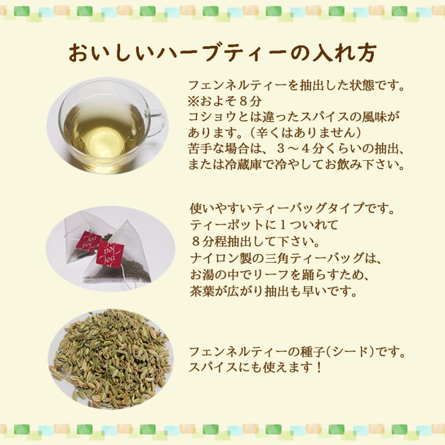 フェンネルティー 60 ティーバッグ 送料無料 農薬検査済 ノンカフェイン ウイキョウ 茴香 お茶 ハーブ ハーブティー ティーパック ヴィーナース｜venurse｜03