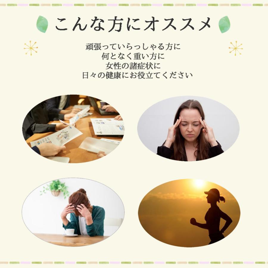 ファインハーブ５袋 フィーバーフュー1.5g×60ティーバッグ ｜ 農薬検査済 ノンカフェ