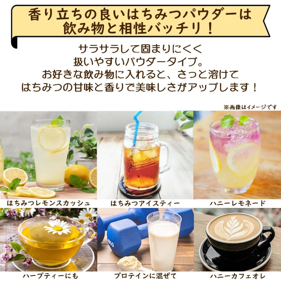 はちみつパウダー30g 着色料 保存料 無添加 甘味料 パウダー 粉末 粉末 