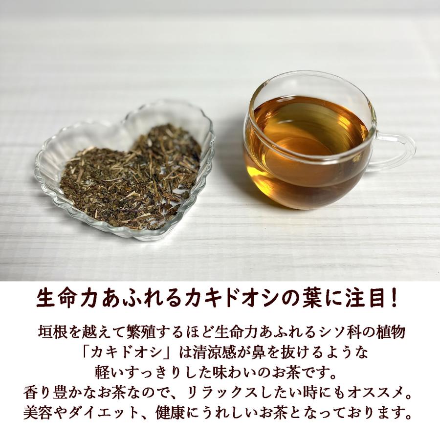 ヴィーナース（Venurse） カキドオシ茶 12ティーバッグ 送料無料 農薬