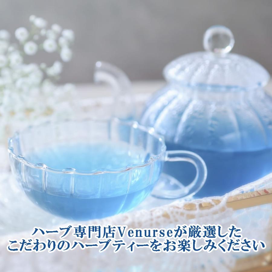 お試しハーブティー10点セット お得 セット ノンカフェイン お茶 ハーブ リーフ ティーパック ティーバッグ ハーブティー ヴィーナース｜venurse｜05