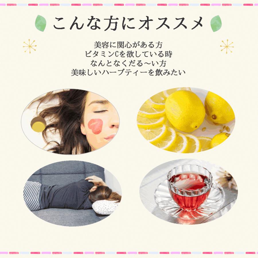 永遠の定番モデル ローズヒップ ハイビスカス ブレンドティー 60 ティーバッグ 送料無料 農薬検査済 ノンカフェイン クエン酸 ビタミンc ハーブ ハーブティー Aynaelda Com
