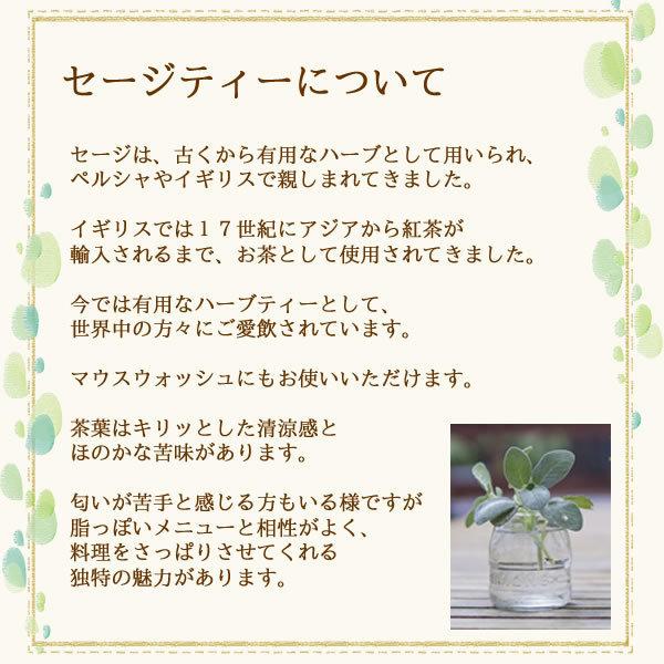 セージティー 60 ティーバッグ 送料無料 農薬検査済 ノンカフェイン サルビア コモンセージ ハーブ ハーブティー 茶 ティーパック ティーバック ヴィーナース Sage60p ヴィーナース ハーブティー専門店 通販 Yahoo ショッピング