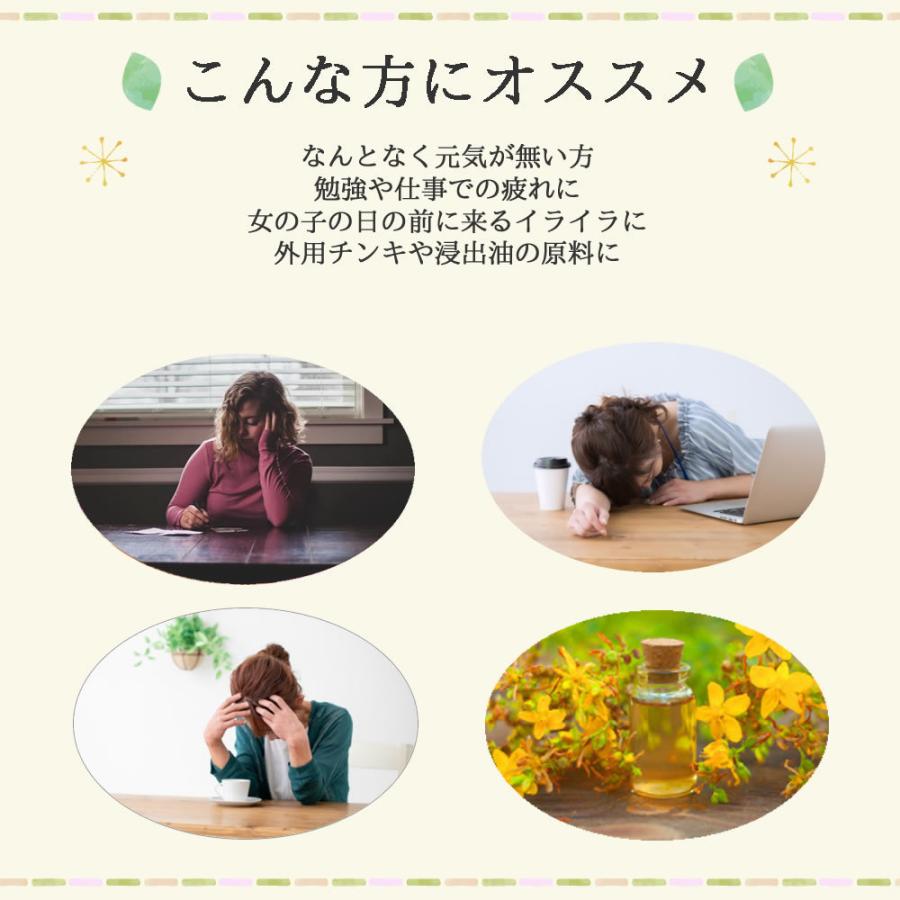 セントジョーンズワートティー 15 ティーバッグ 送料無料 農薬検査済 ノンカフェイン 西洋オトギリソウ サンシャインサプリメント 健康茶 ハーブ | ヴィーナース | 04