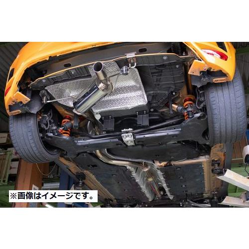 TRUST（トラスト） 自動車関連業者直送限定 GReddy TW-M マフラー 