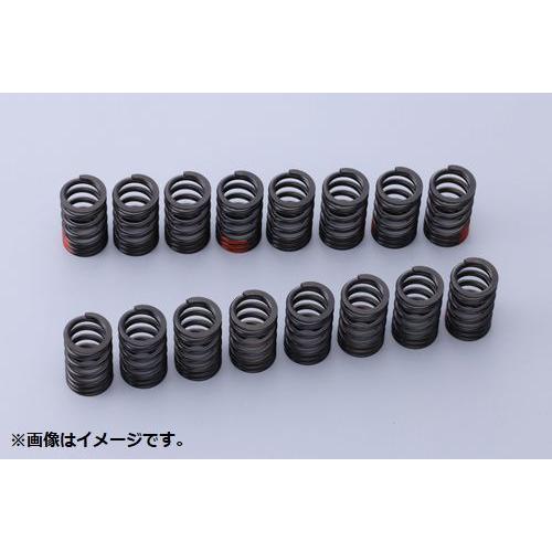 TOMEI POWERED 個人宅発送可能 TOMEI 東名パワード バルブスプリング