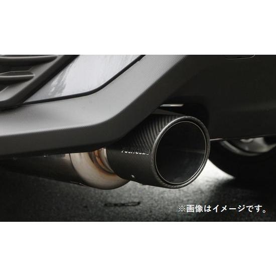 cocomRAV4 ガソリン車 フジツボ マフラー 車検対応 CUSTOMER