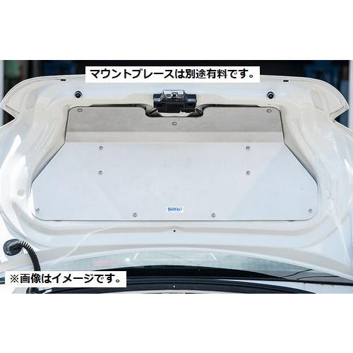 SARD（サード） 個人宅発送可能 GT WING Fuji mini 車種専用 ウイング