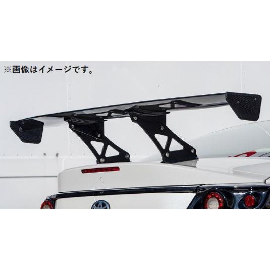 SARD（サード） 個人宅発送可能 GT WING Fuji mini 車種専用 ウイング