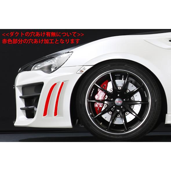 SARD 自動車関連業者直送限定 サード GT1 PERFORMANCE AERO
