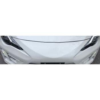 SARD 自動車関連業者直送限定 サード GT1 PERFORMANCE AERO