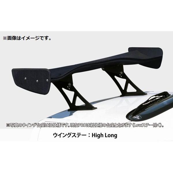 SARD（サード） 個人宅発送可能 GT WING ウイング 汎用 GT WING PRO