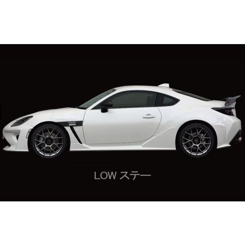 SARD 自動車関連業者直送限定 サード LSR WING ウイング 車種専用 