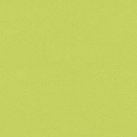 プレミアム ウォールデコシート 6m巻　　　プレーン カラー ライトグリーン｜venusclub｜02