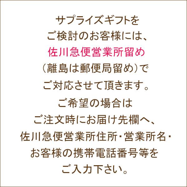 ネックレス 計2カラット 鑑別書付 天然 ダイヤモンド プラチナ アクセサリー Pt950 クロス ペンダント  2営業日前後の発送予定｜venusjewelry｜10