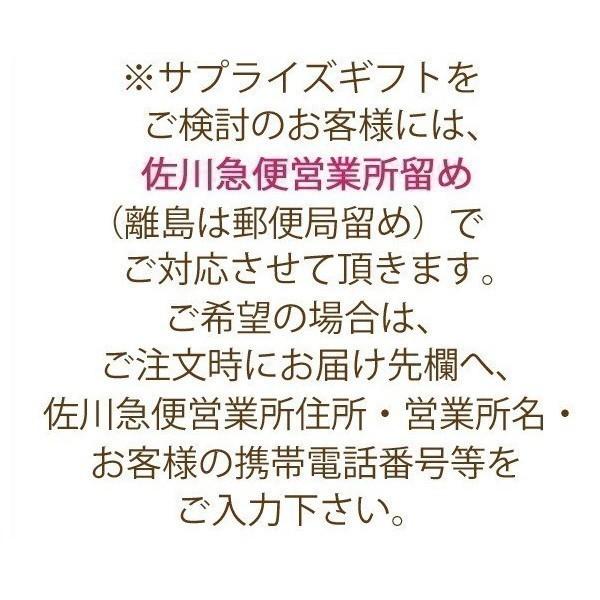ネックレス k18 18金 天然 ダイヤモンド クロス 2way リバーシブル 一粒 K18 ゴールド アクセサリー 2営業日前後の発送予定の画像