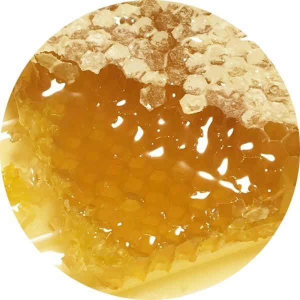 ☆専用☆【新品未開封】長崎産クリームドハニー400g／■アカシアミニ付き 送料無料：400g×12個セット】コムハニー アカシア 巣みつ