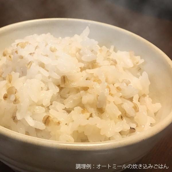 【1〜3袋:送料 185円】オートミール ひきわりスチールカット 250g【賞味期限24年1月】| オーツ 麦 グラノーラ えん麦 マクロビ ヴィーガン zip|venustokyo|03