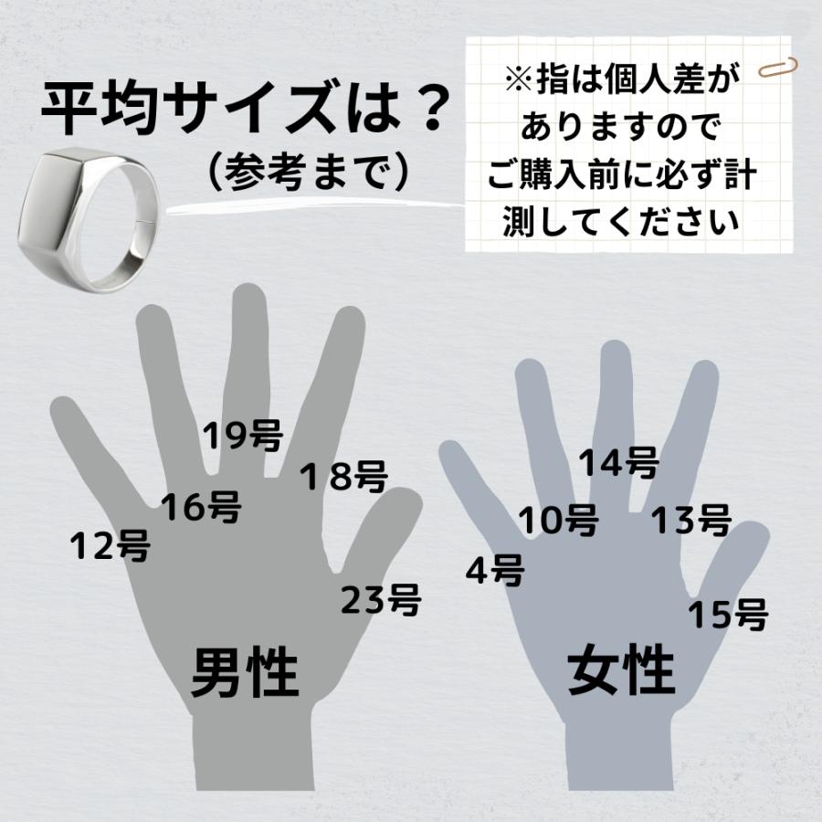 印台 リング メンズ シルバー 925 指輪 シグネットリング 人気 スターリングシルバー シルバーリング レディース シルバーアクセサリー メンズ指輪 メンズリング_10