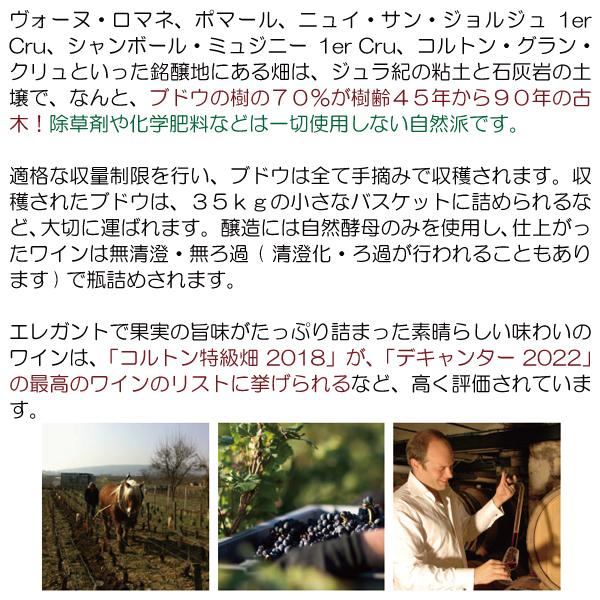 よりどり6本で送料無料 2018 ニュイ サン ジョルジュ 1級畑 レ カイユ