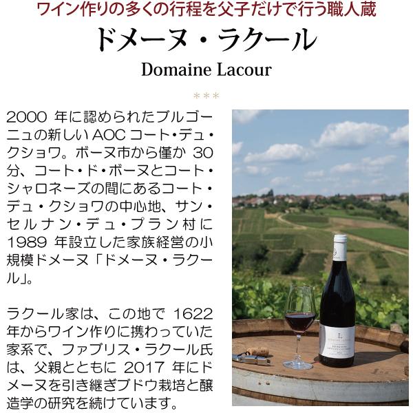 よりどり6本で送料無料 2023 ブルゴーニュ ルージュ ピノ ノワール