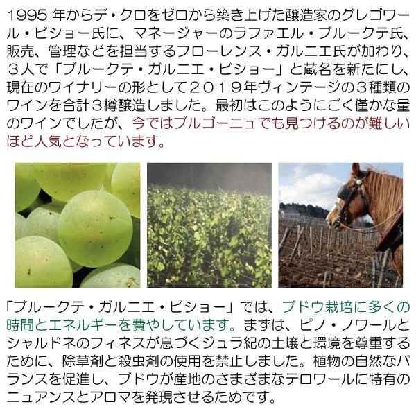 よりどり6本で送料無料 2021 ジュヴレ シャンベルタン ロンスヴィ 750ml ブルクーテ ガルニエ ビショー/ドメーヌ デ クロ 赤 コク辛口 ^B0OSRV21^