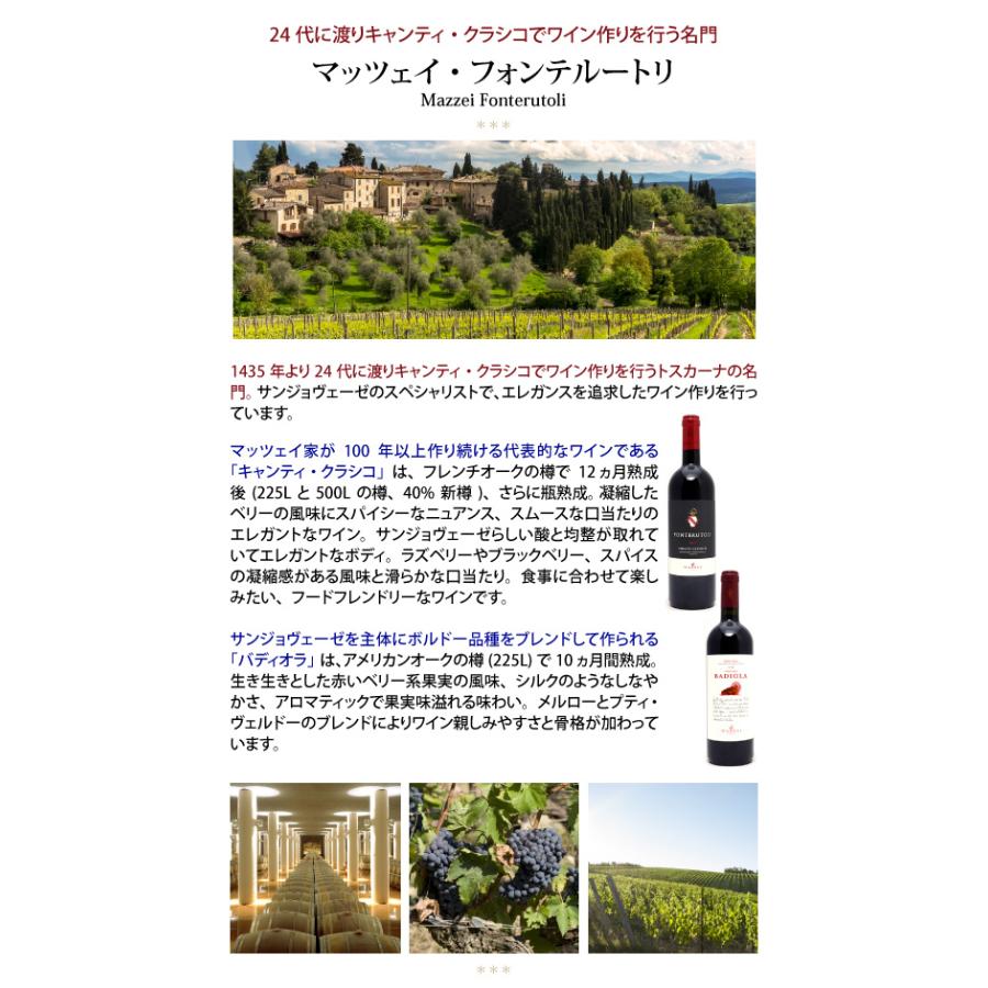 17 キャンティ クラシコ Docg 750ml マッツェイ フォンテルートリ イタリア 赤ワイン コク辛口 ワイン Fcftcc17 ヴェリタス 通販 Paypayモール