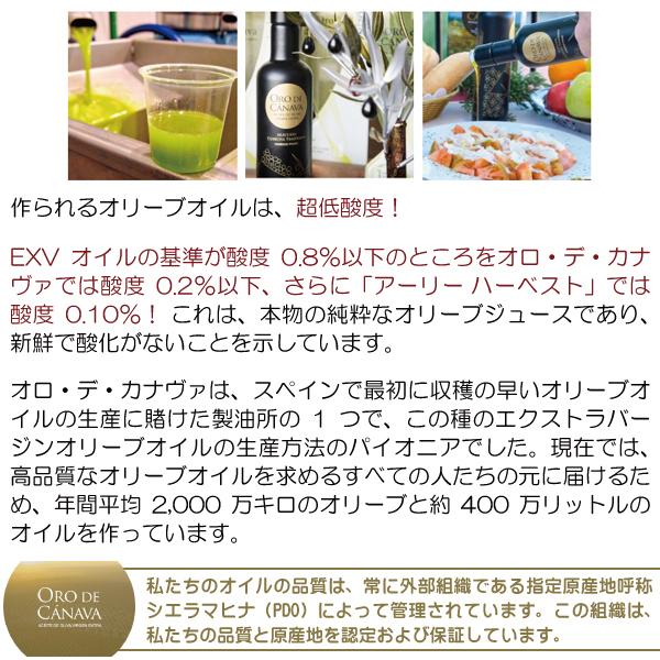 送料無料 エクストラ バージン オリーブ オイル 500ml×12本 瓶 オロ デ