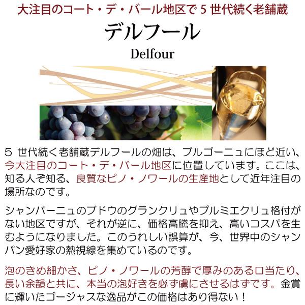 シャンパン ブリュット 750ml デルフール フランス シャンパーニュ 白