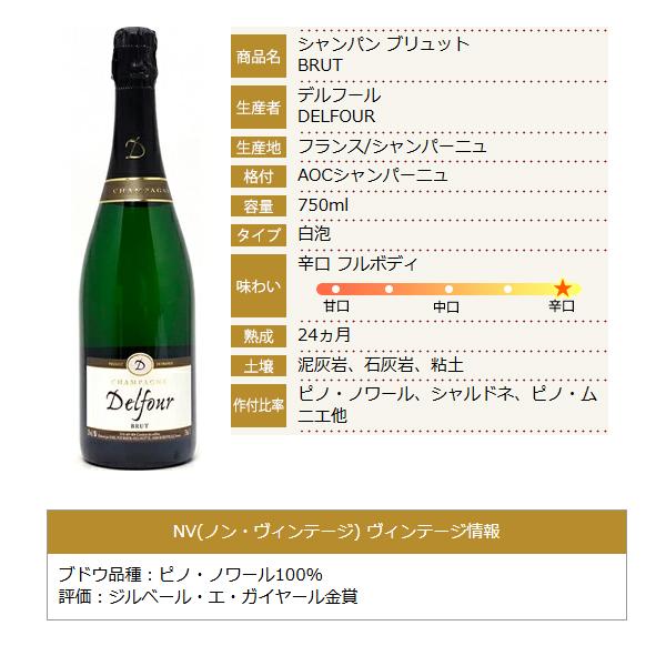 シャンパン ブリュット 750ml デルフール フランス シャンパーニュ 白