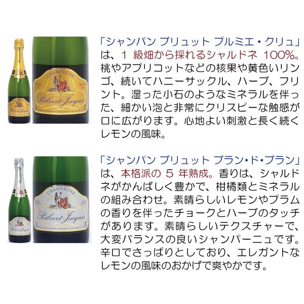 12本セット 送料無料 ポワルヴェール ジャック ブリュット 750ml×12 ポルヴェール ジャック  フランス 白泡 コク辛口 ^VAPQBRKC^の画像