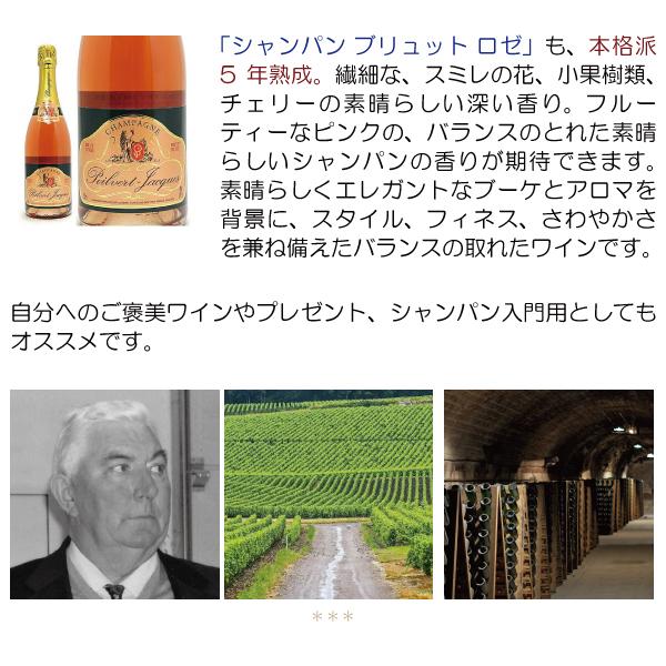 12本セット 送料無料 ポワルヴェール ジャック ブリュット 750ml×12 ポルヴェール ジャック  フランス 白泡 コク辛口 ^VAPQBRKC^の画像