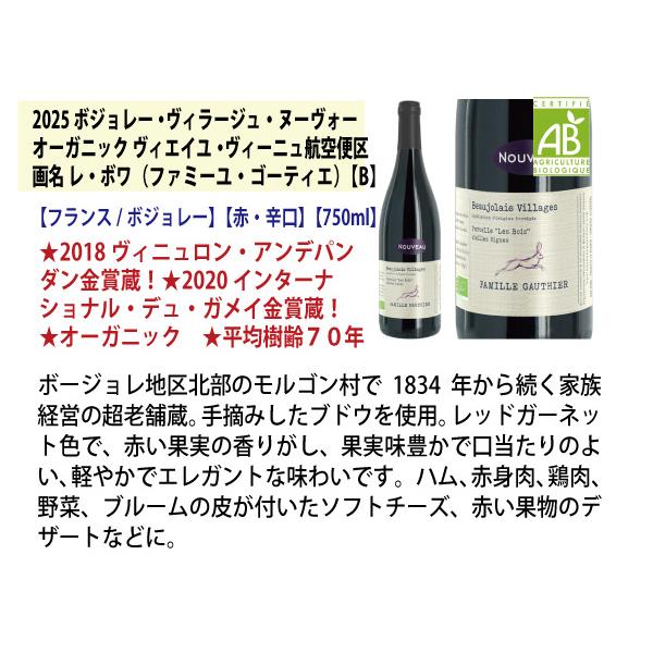 WE 送料無料 2025 ボジョレー ヌーヴォー 6本ワインセット (赤6本