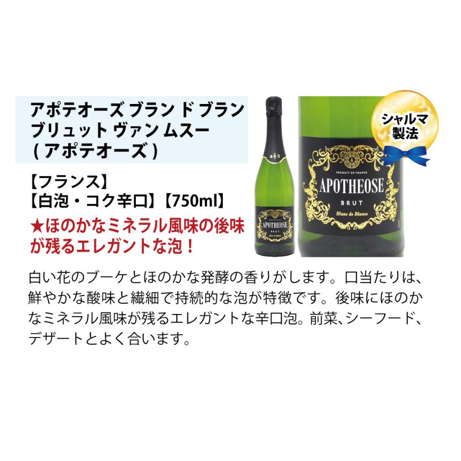 ワイン ワインセット 本場フランス産の極上辛口スパークリング