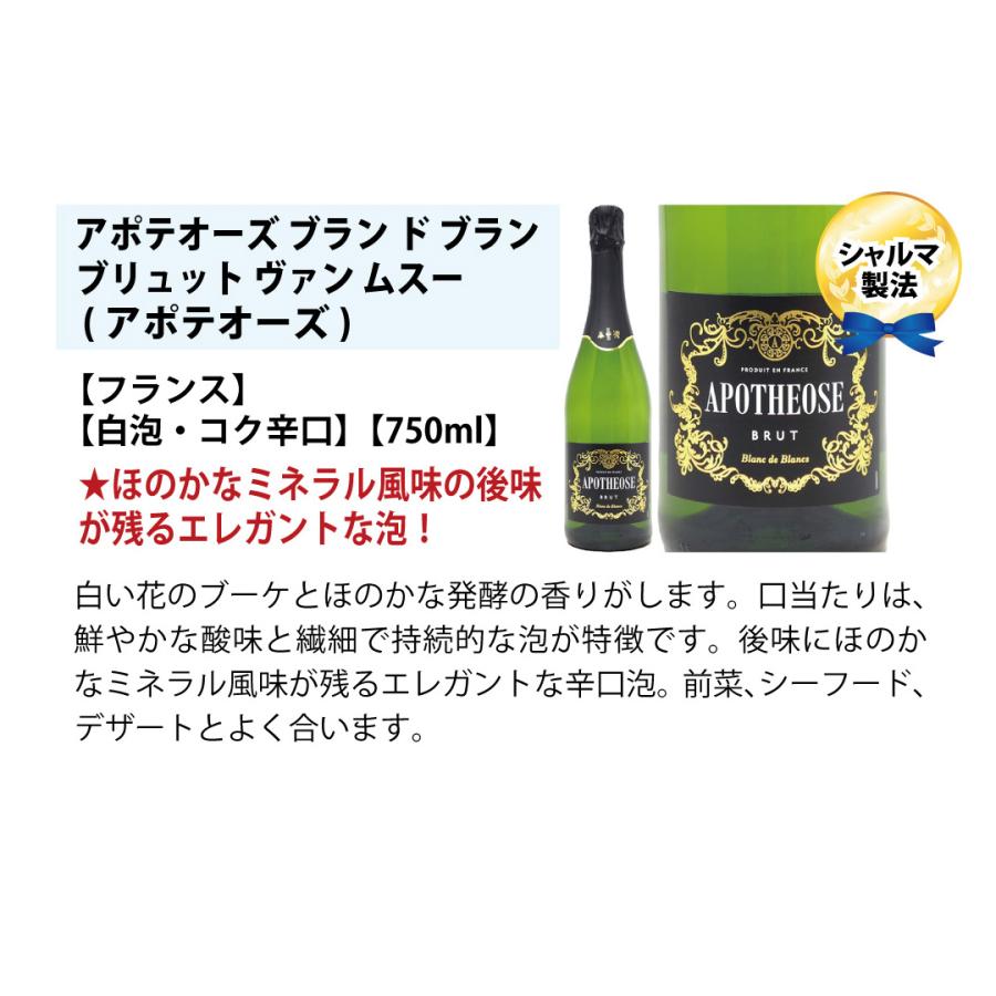 ワイン ワインセット 本場フランス産の極上辛口スパークリングワイン6