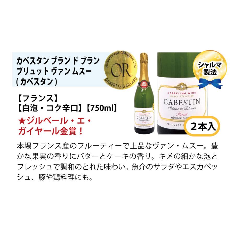 ワインセット 本場フランス産の極上辛口スパークリングワイン12本