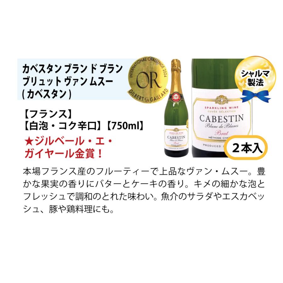 ワインセット 本場フランス産の極上辛口スパークリングワイン12本