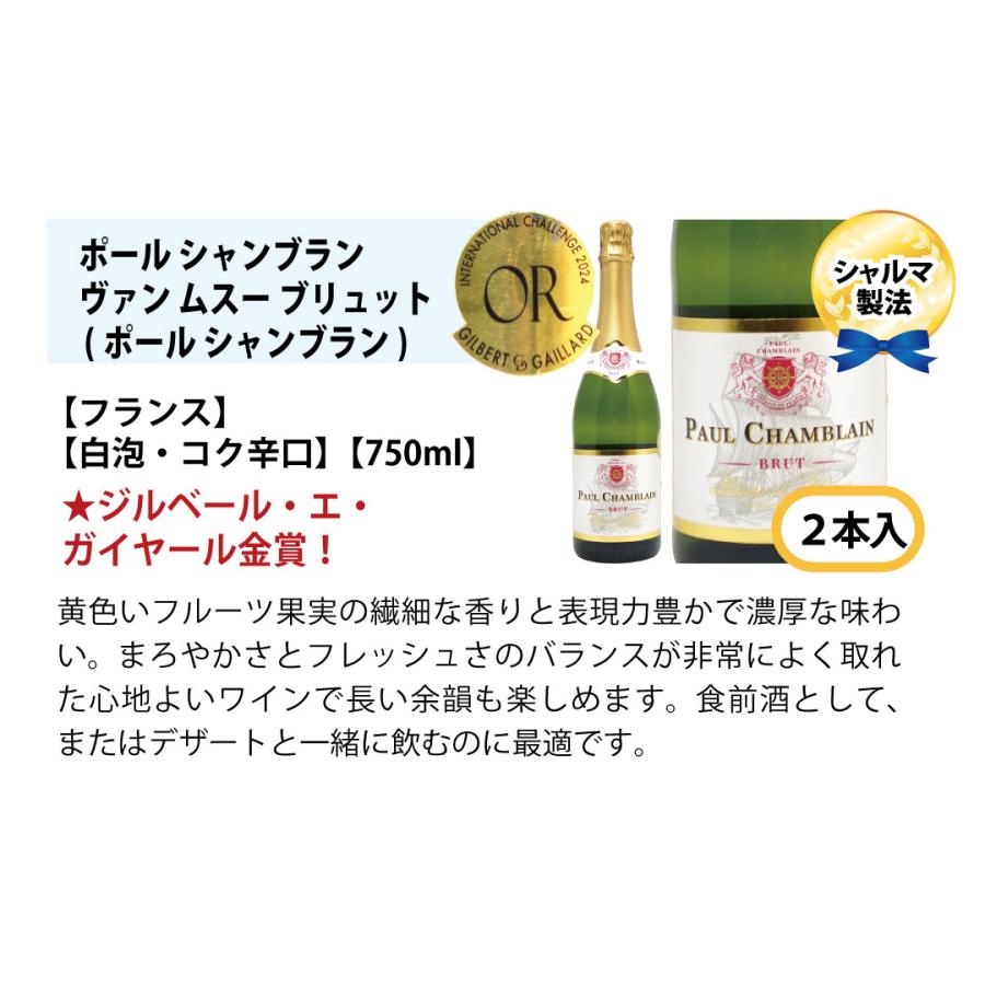 ワインセット 本場フランス産の極上辛口スパークリングワイン12本