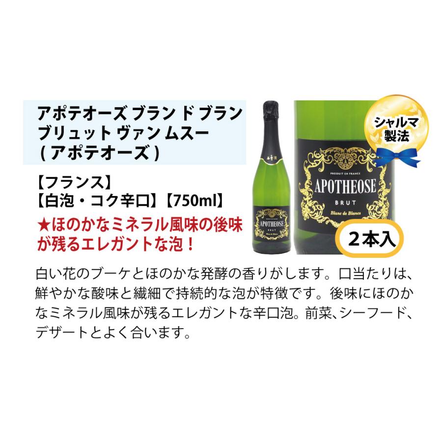 ワインセット 本場フランス産の極上辛口スパークリングワイン12本